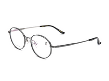 Load image into Gallery viewer, RJ glasses - 88293 gray silver