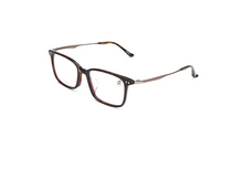 Load image into Gallery viewer, RJ glasses - 248241 brown
